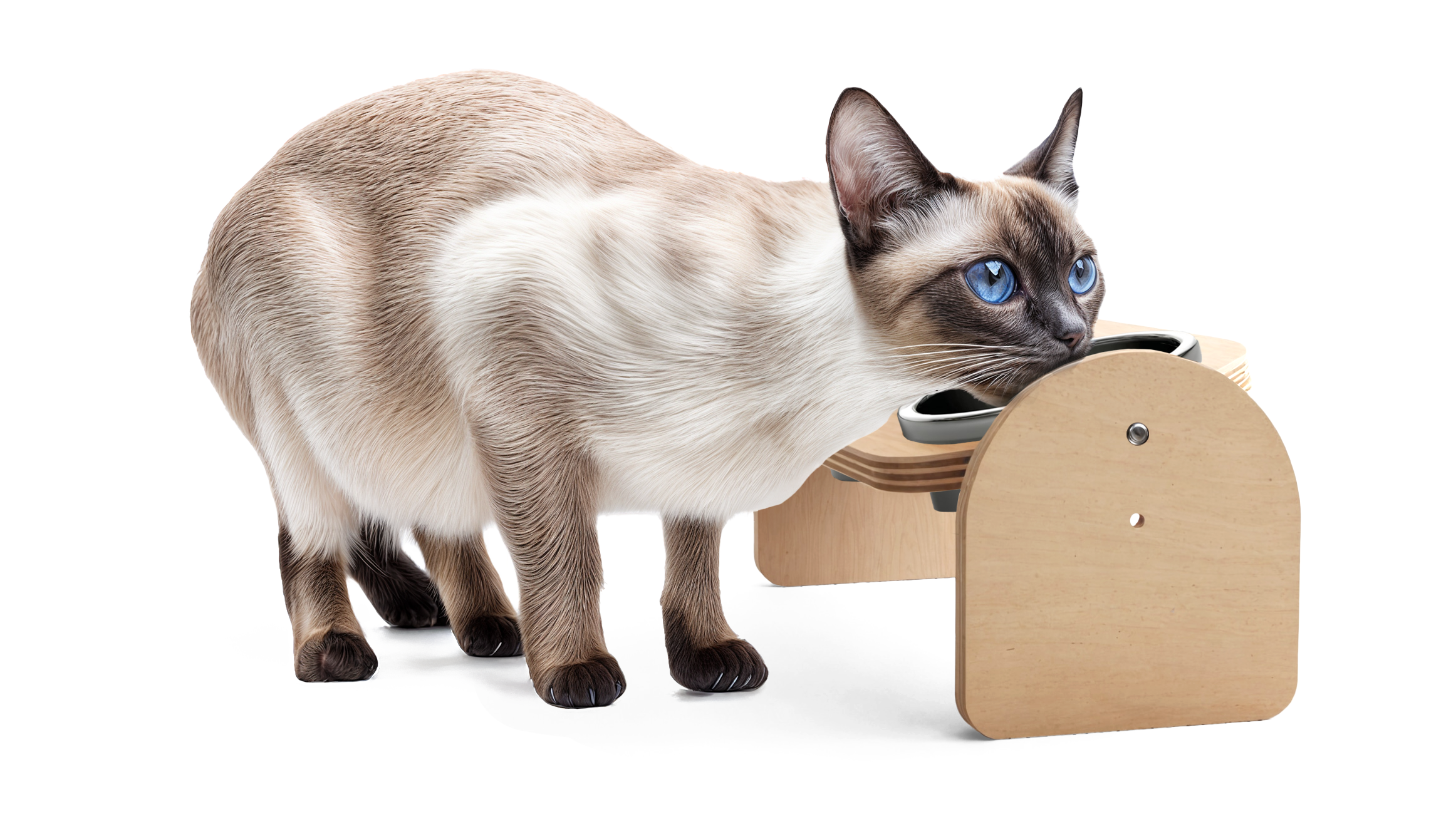 MamaPetz Almo Diner Feeding Bowl