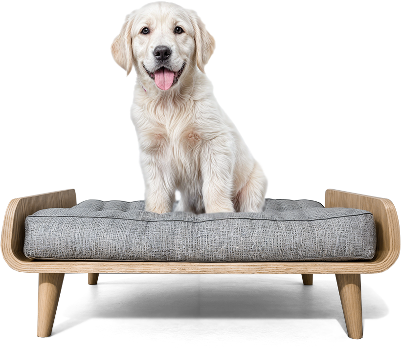 MamaPetz Almo Light Pet Bed