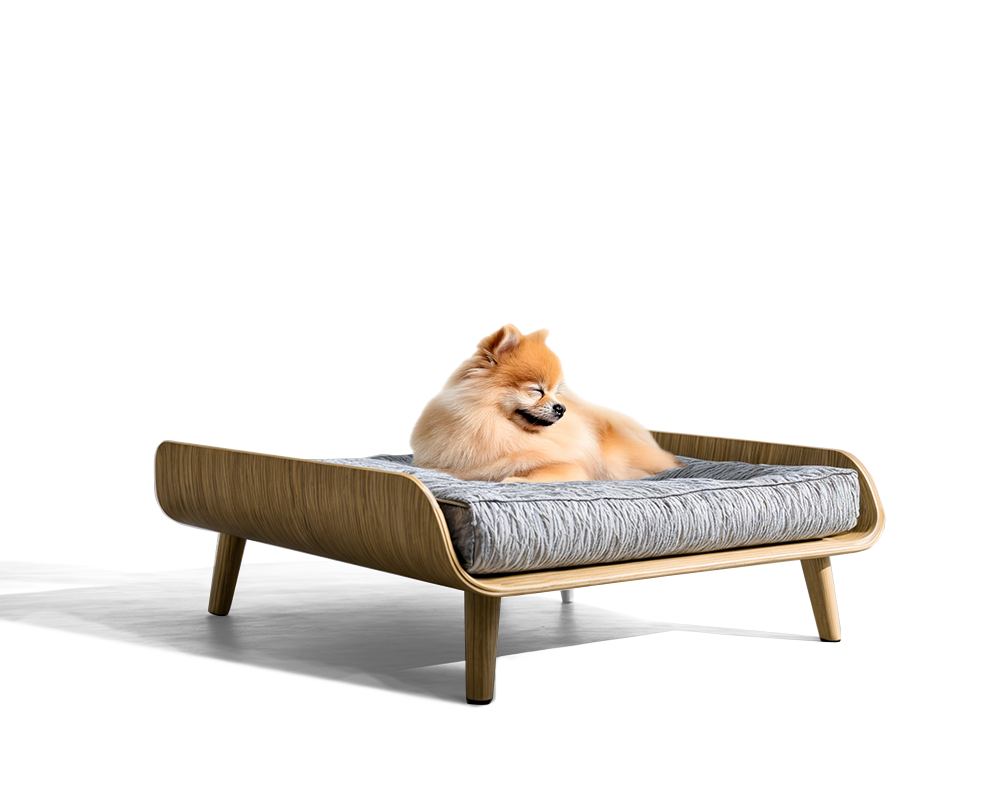 MamaPetz Almo Light Pet Bed